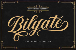 Bilgate: A Magical Handwritten Font