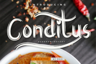 Conditus: A Stylish Script Font
