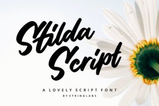 Stilda: A Script Amp Review